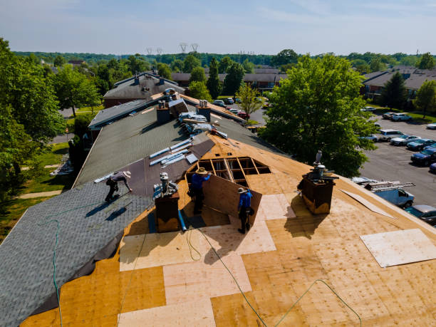 Best Storm Damage Roof Repair  in Clementon, NJ