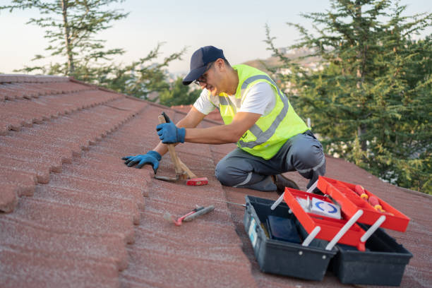 Best Storm Damage Roof Repair  in Clementon, NJ